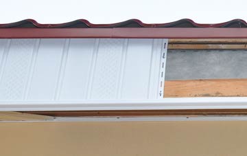 Borrodale fascia repair costs