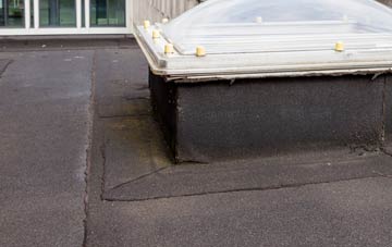 disadvantages of Borrodale flat roofs