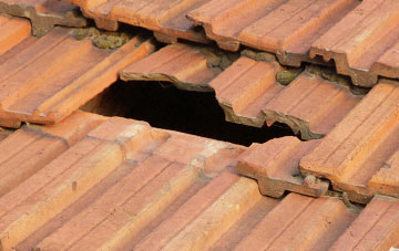 roof repair Borrodale, Highland