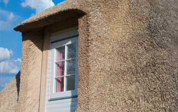 Borrodale thatch roof disadvantages