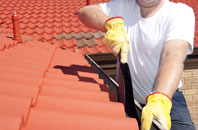 Borrodale roof cleaners